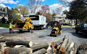 Best Hazardous Tree Removal  in Palm Valley, TX