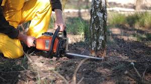 Best Lawn Grading and Leveling  in Palm Valley, TX