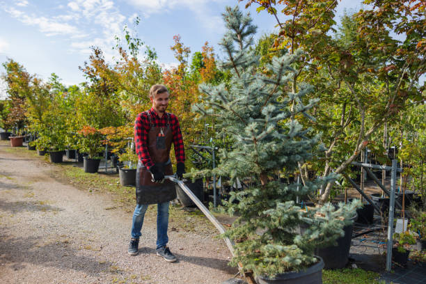 Best Aeration Services  in Palm Valley, TX
